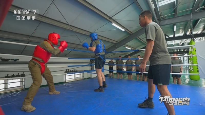 [军武零距离]拳拳到肉!侦察兵的格斗训练场