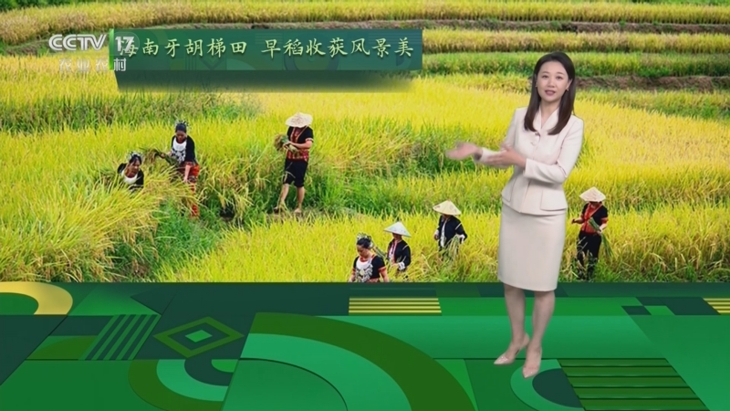 农业气象_cctv节目官网