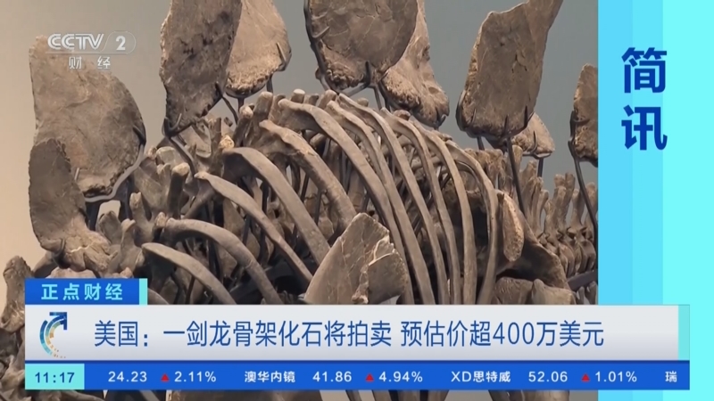 [正点财经]美国:一剑龙骨架化石将拍卖 预估价超400万美元