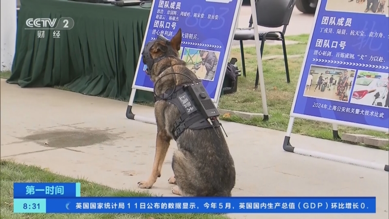 [第一时间]上海:警犬比武秀绝技