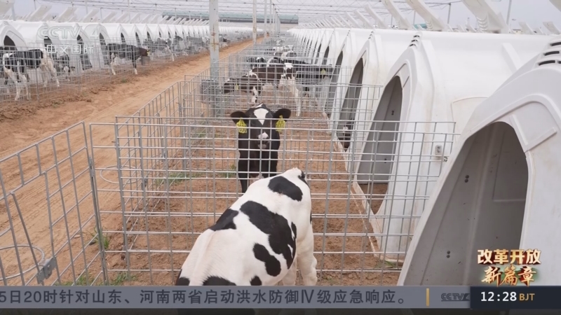 南方周末中国企业社会责任榜（2021）