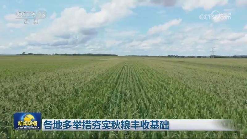 各地多举措夯实秋粮丰收基础