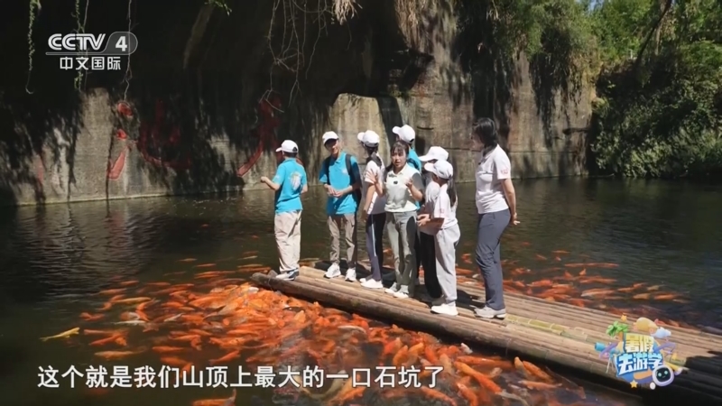 暑假去游学——碧水画中游千岛 邂逅碧波千岛 漫步秀水湖光