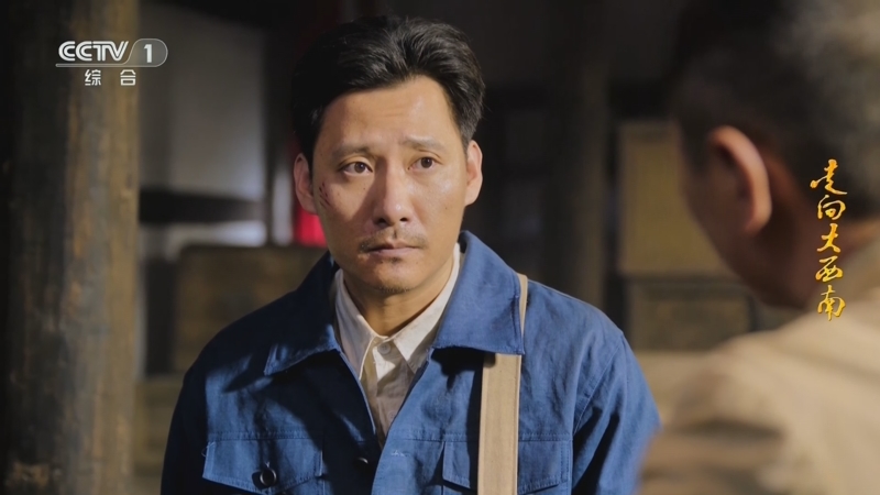 《走向大西南》邓小平表决心一定要修好成渝铁路 专家林江愿意投入