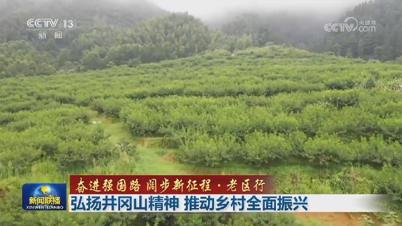 【奋进强国路 阔步新征程·老区行】弘扬井冈山精神 推动乡村全面振兴