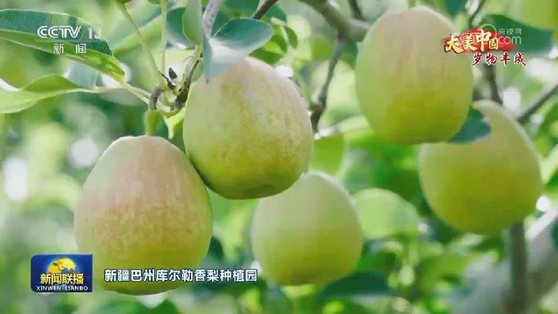 【大美中国·岁物丰成】