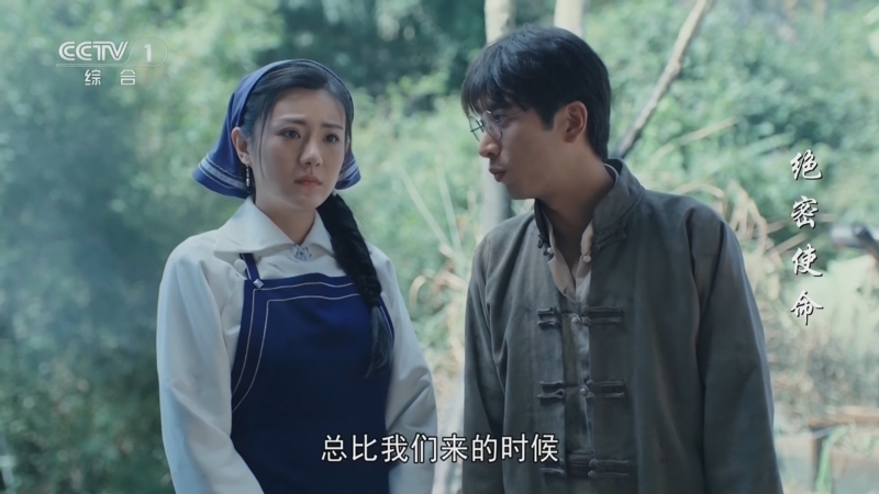 绝密使命 13集