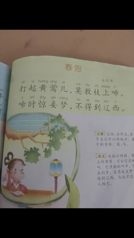 读《春怨     金昌绪》有感