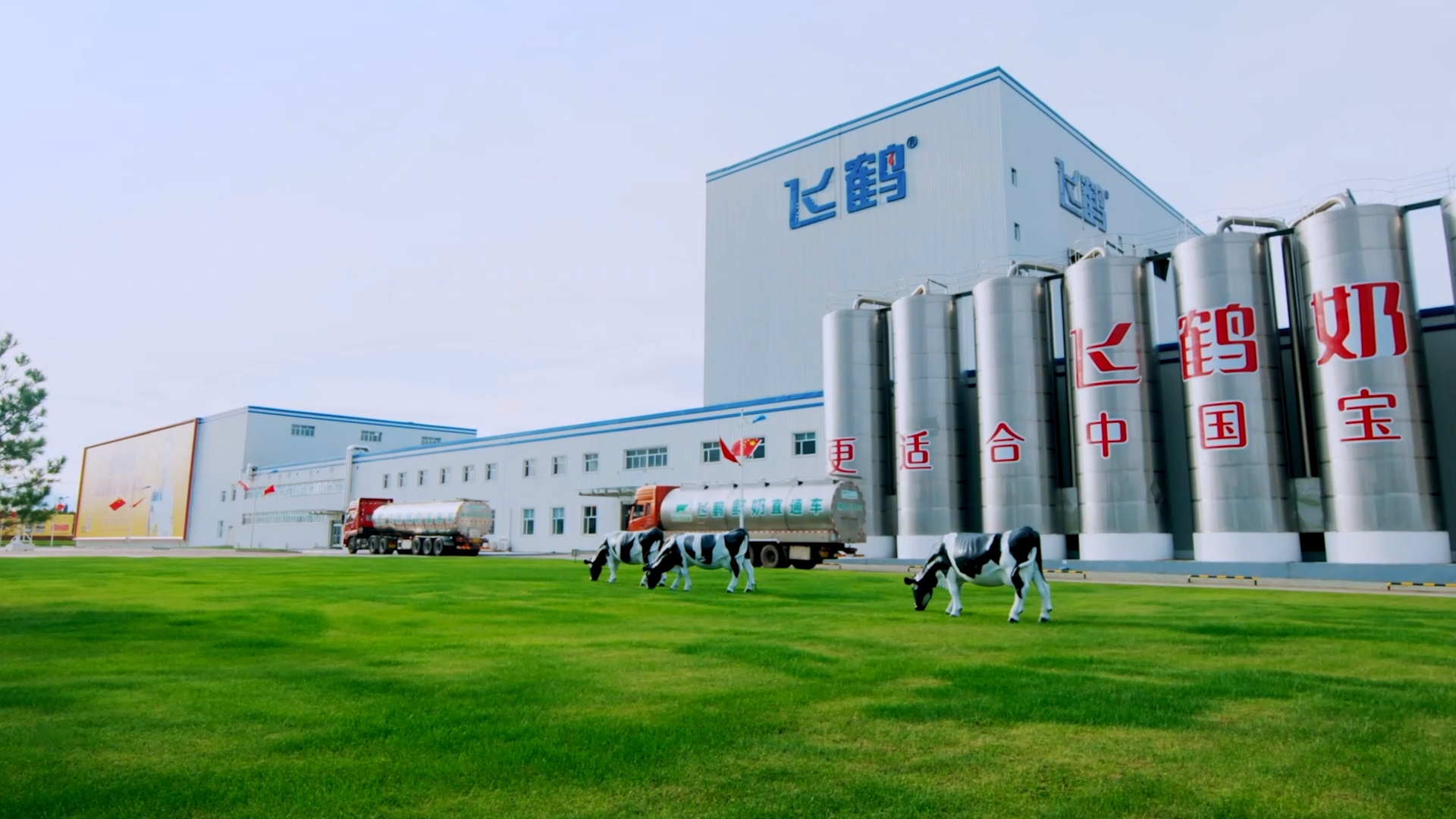 飞鹤加拿大工厂婴配粉全面开售 中国乳企出海步伐提速