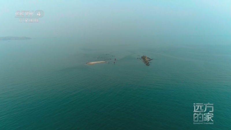 《远方的家》 20250108 秘境之旅 蔚蓝之海 生命欢歌