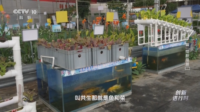 《创新进行时》 20250227 “智”绘新渔景（二）