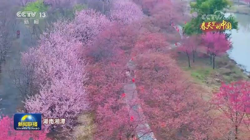 春天里的中国