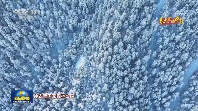 春天里的中国