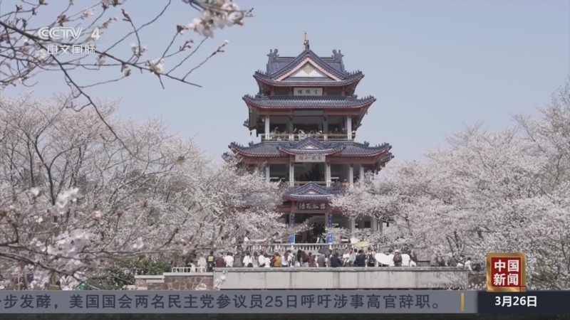 江苏无锡：以花为媒 外国友人纷至沓来