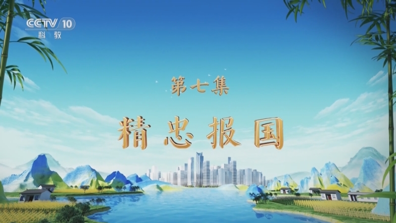 《百家讲坛》 20250413 特别节目《天地有正气》（7） 精忠报国