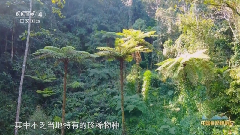 《远方的家》 20250418 中国自然秘境 南滚河的自然故事