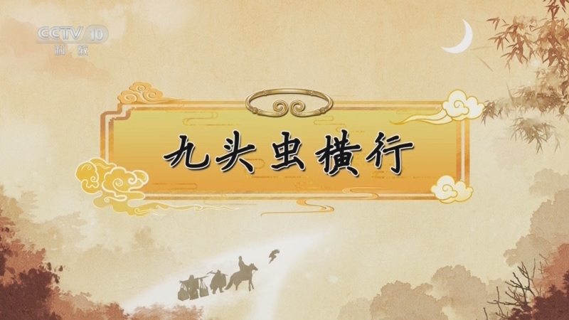 《百家讲坛》 20250421 《西游记》中的情理法（第二部） 5 九头虫横行