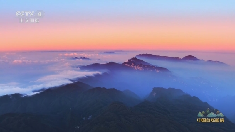 《远方的家》 20250512 中国自然秘境 北纬30度的秘境森林