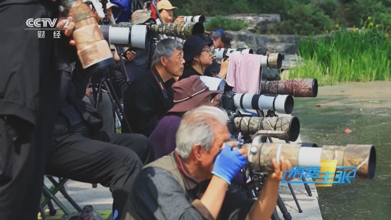 《消费主张》 20250516 生态旅游成为黄金线路：观鸟经济火热