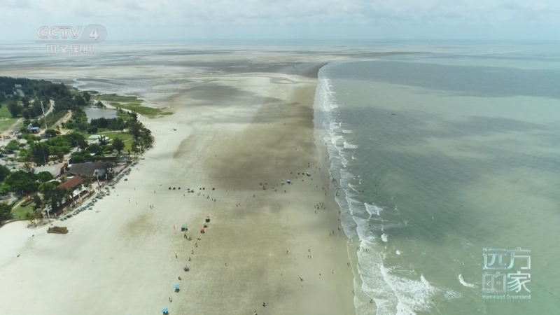 《远方的家》 20250523 山海交响 壮美广西 碧海银沙 北海之味
