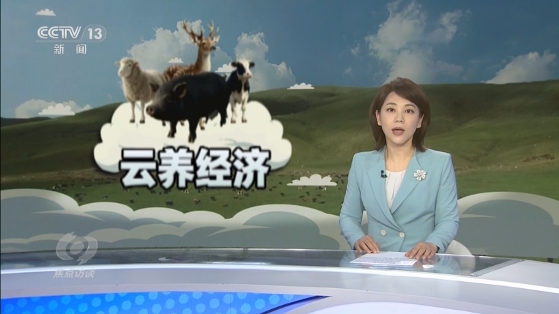 《焦点访谈》 20250526 “云养殖”里藏骗局