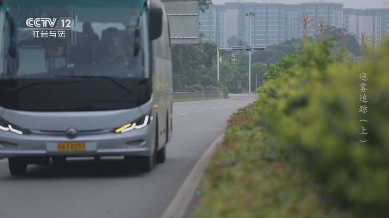 《生命线》 20250527 迷雾追踪（上）