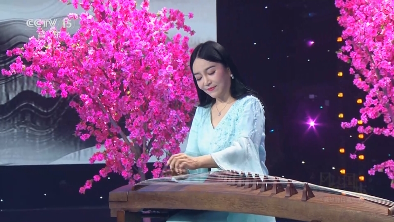 《风华国乐》 20250529