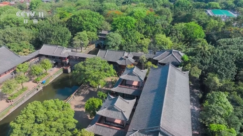 《角儿来了》 20250602 戏韵端阳