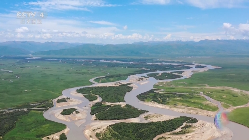 《远方的家》 20250603 母亲河的脉动 一湾碧水润玛曲