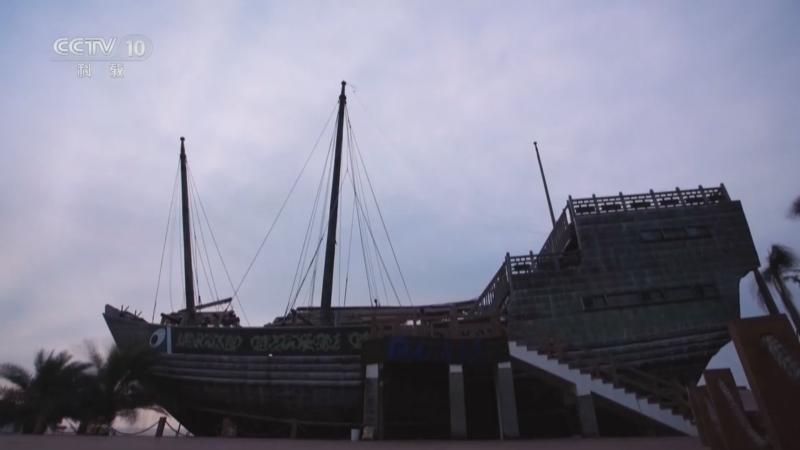 《探索·发现》 20250605 世纪考古大发现（28）