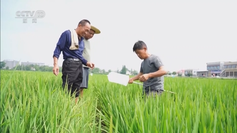 《午夜新闻》 20250610