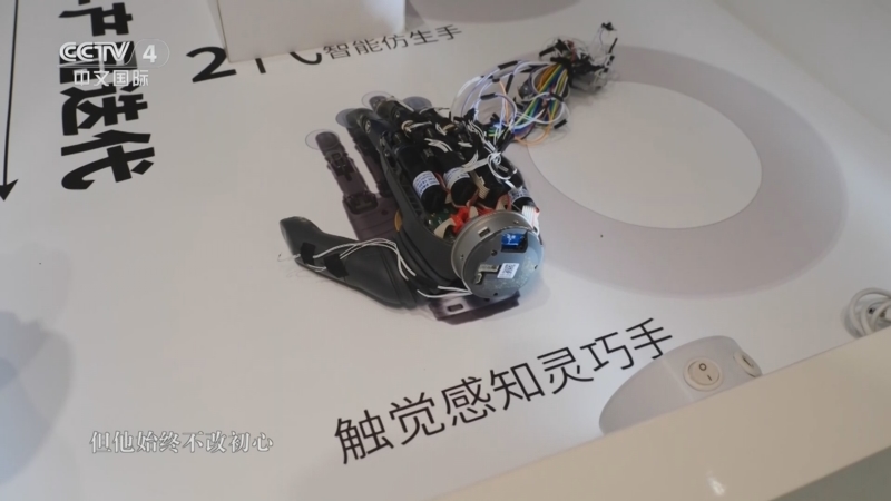 《鲁健访谈》 20250613 对话韩璧丞