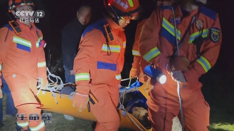 《生命线》 20250614