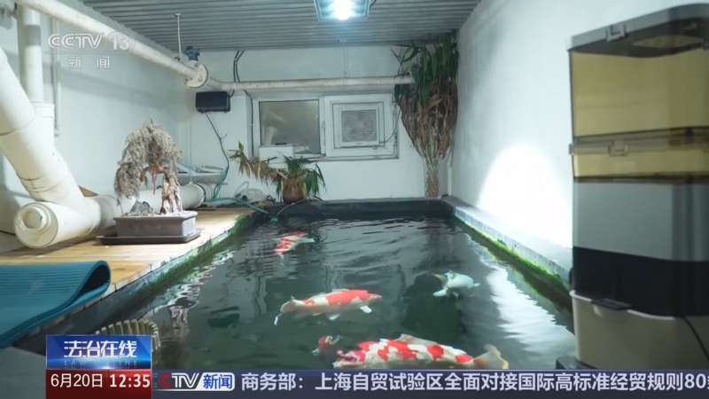 《法治在线》 20250620