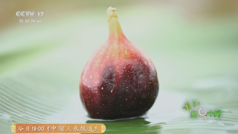 《谁知盘中餐》 20250630 果蔬篮里的鲜甜秘密