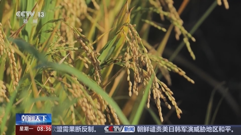 《朝闻天下》 20250714 08:00
