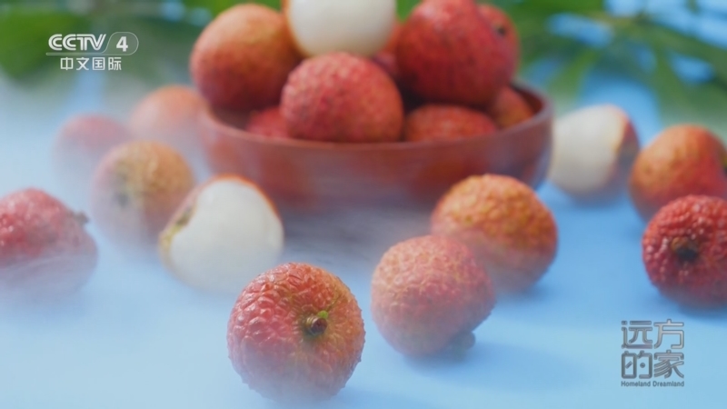 《远方的家》 20250721 正是岭南荔枝红