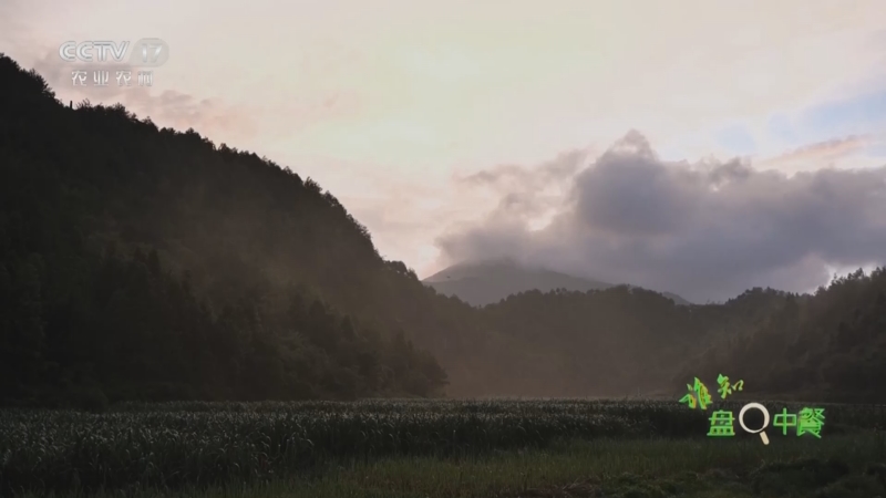 《谁知盘中餐》 20250723 高山藏美味