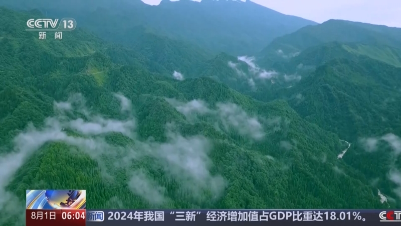 《朝闻天下》 20250801 06:00