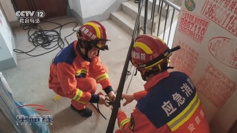 《生命线》 20250814