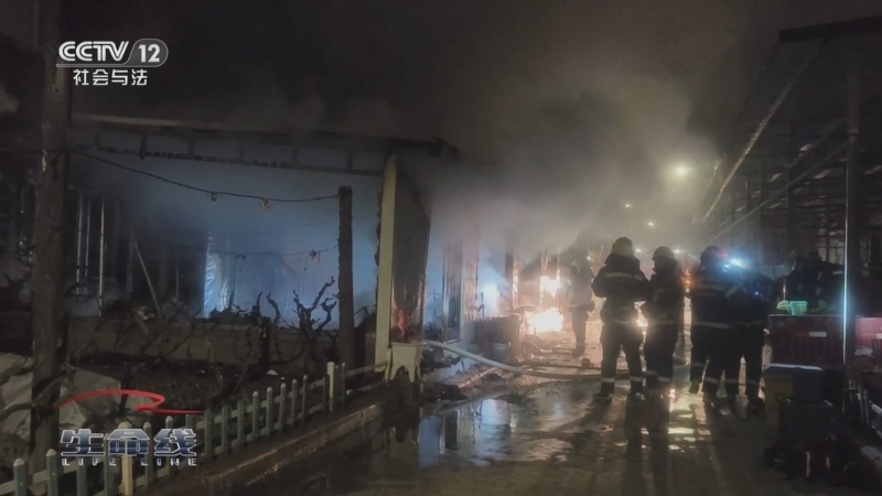 《生命线》 20250819