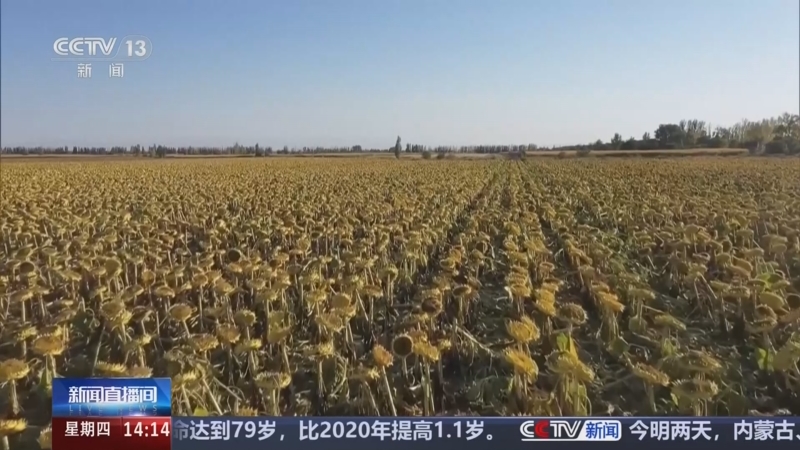 《新闻直播间》 20250911 14:00