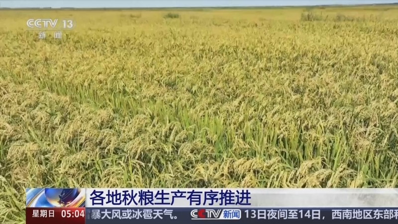 《新闻直播间》 20250914 05:00