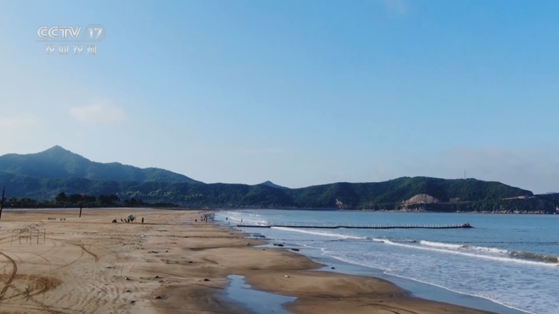 《谁知盘中餐》 20250920 绿水青山的馈赠 滩涂寻鲜记