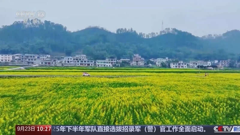 《新闻直播间》 20250923 10:00