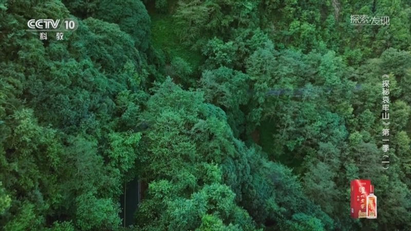 《探索·发现》 20251010 《探秘哀牢山》第一季（1）