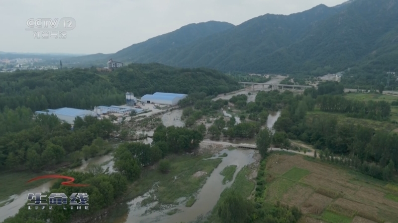 《生命线》 20251011