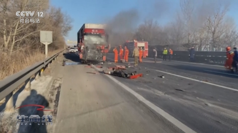 《生命线》 20251012