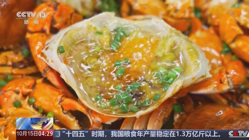 《新闻直播间》 20251015 04:00