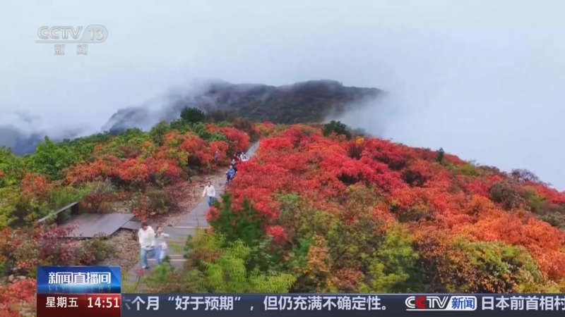 《新闻直播间》 20251017 14:00